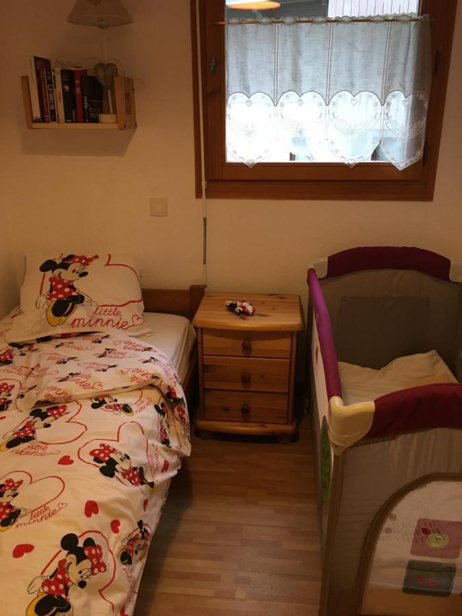 Appartement Avec Garage Centre Chamonix ภายนอก รูปภาพ